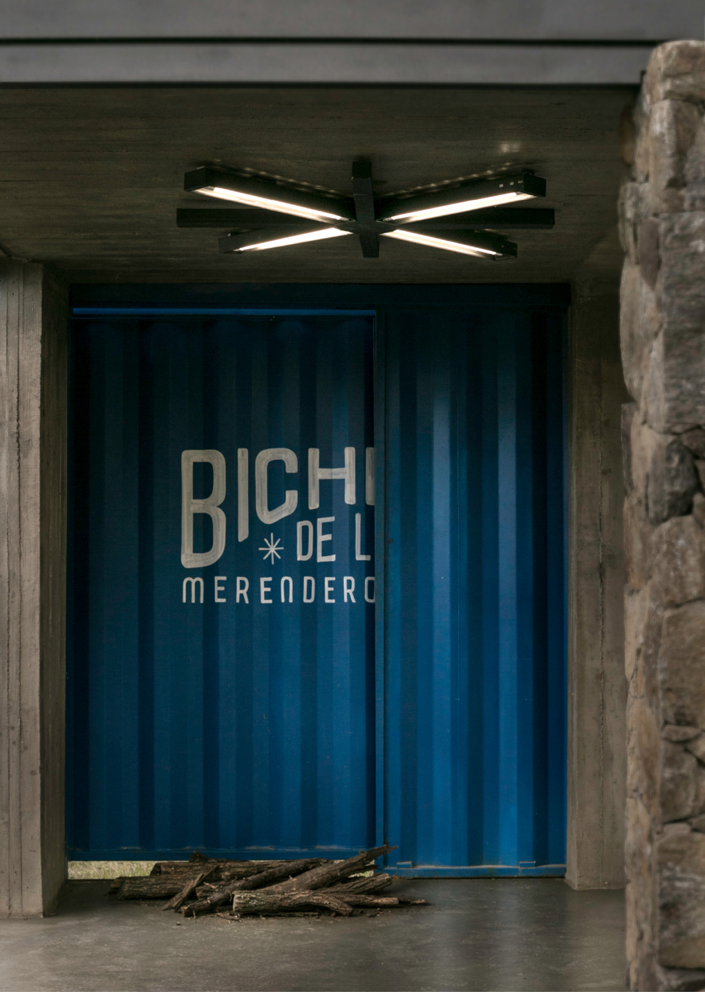 BICHITOS DE LUZ